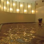 東京皇家王子大飯店花園塔（The Prince Park Tower Tokyo） 東京溫泉酒店 東京溫泉飯店 東京溫泉旅館