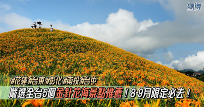 【台灣賞花】嚴選全台5個金針花海景點推薦！8-9月限定必去！