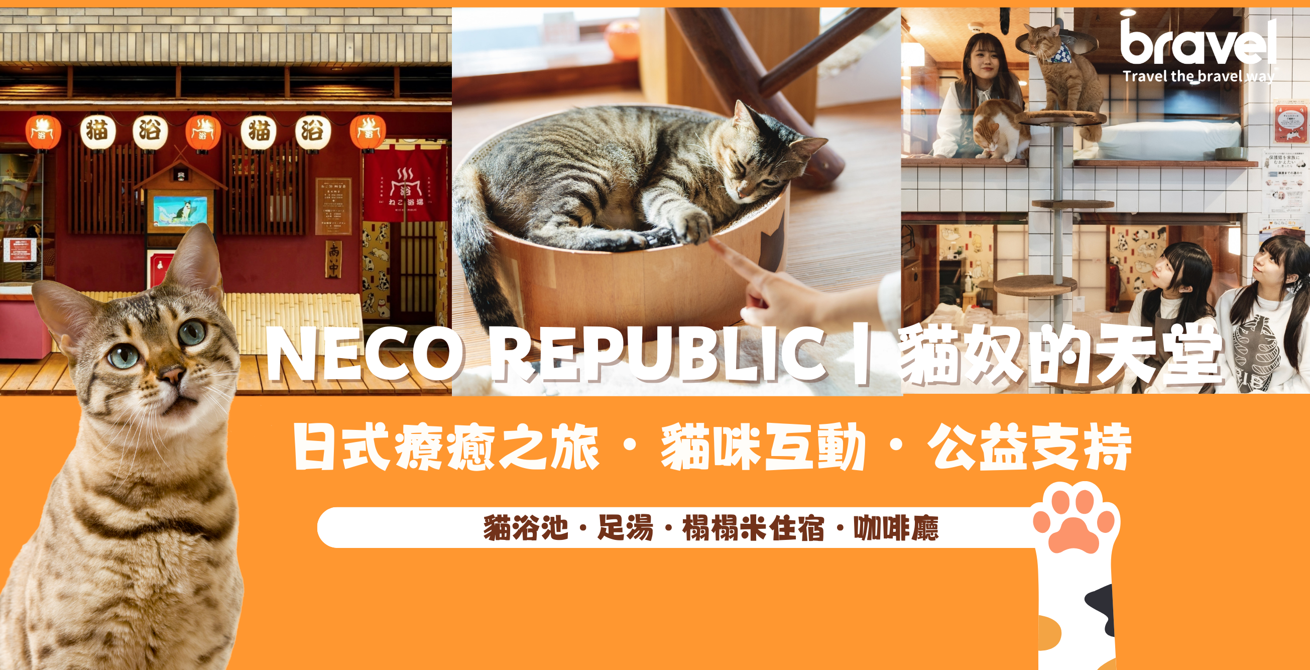 NECO REPUBLIC｜貓奴的天堂 日式療癒之旅・貓咪互動・公益支持